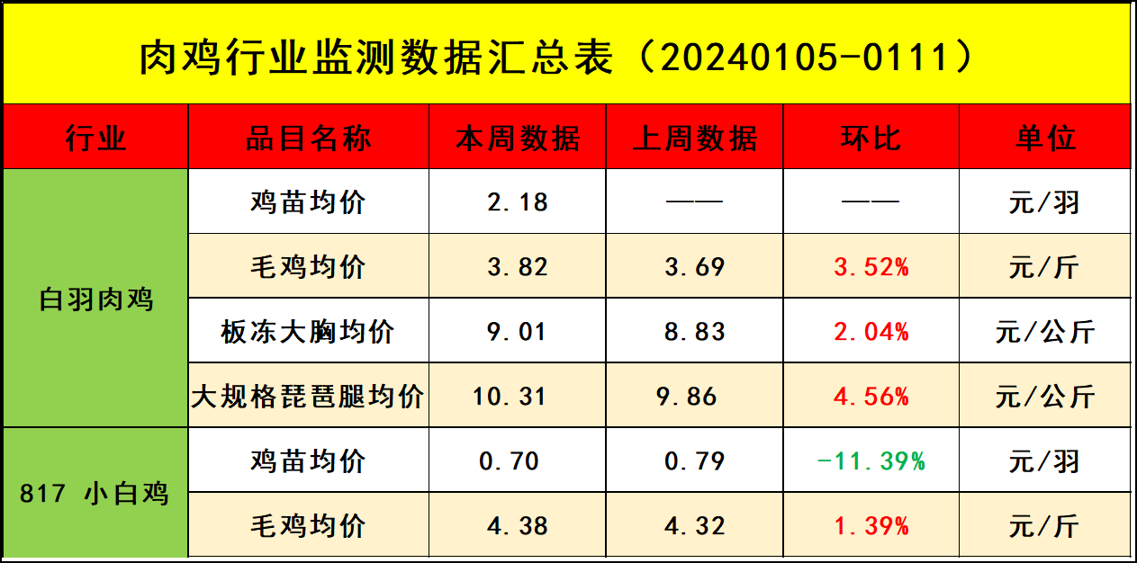 娇艳的罂粟花