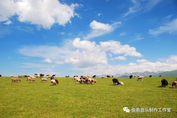 吃草的老羊最新作品-草原牧歌：老羊新篇