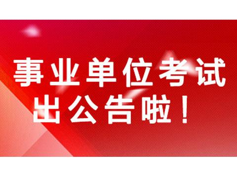 2025年1月1日 第15页