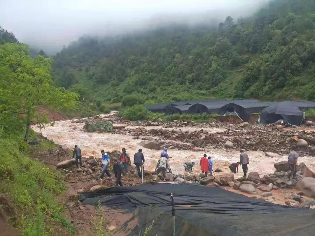 丽江暴雨最新消息