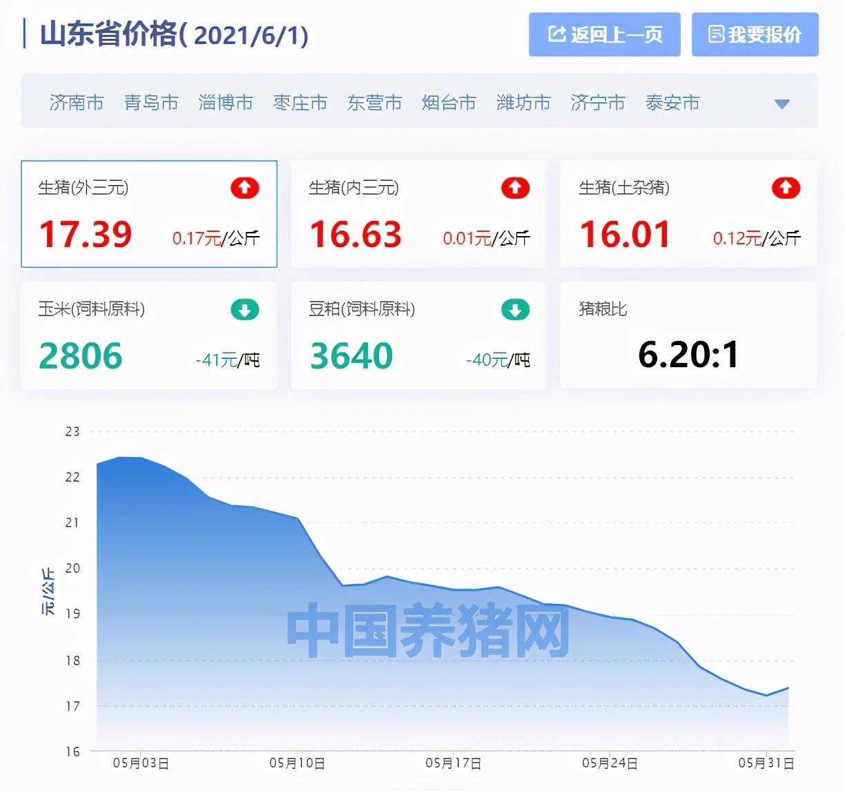 山东省最新鸡蛋市场价格动态盘点